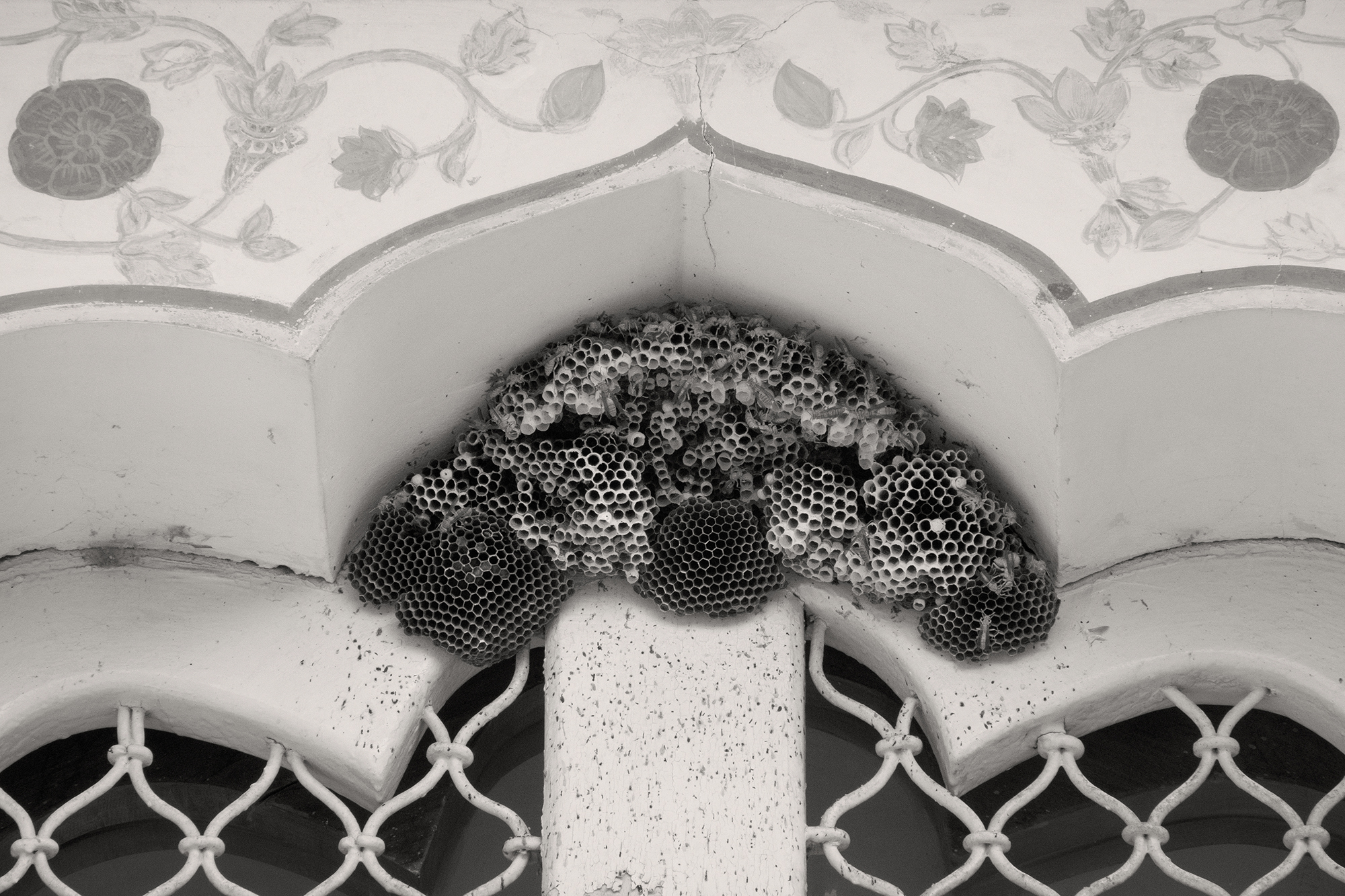 Christoph Radke, India, Jaipur, Amber Fort, 2022